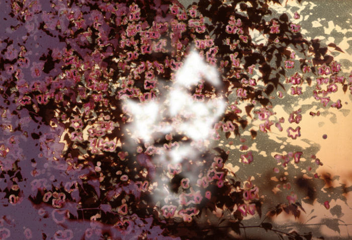 Face, leaves