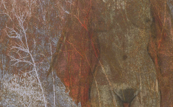 nude, Trees