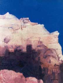 Desert landscape